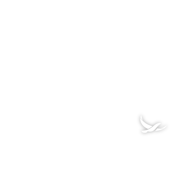 afc logo cmjn bleu